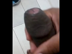  - Punheta da noite