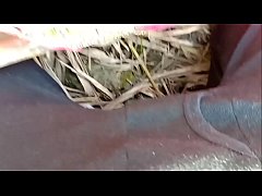  - देशी सादी सुदा भाभी को देवर ने जंगल की झाड़ी के पीछे लेजाकर चोदा