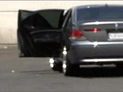  - Chocolate- Tinys Black Adventures