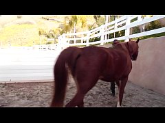  - Two beautiful babes Ally Evans, Dani Daniels gets it going in the stable