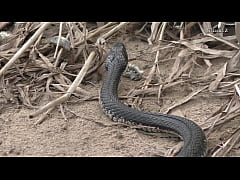  - Natasha posing #13 Near a river