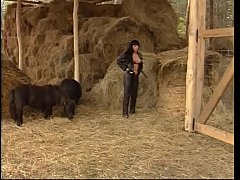  - Valentine's obscene dreams (Full Movies)