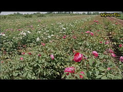  - Story of fucking with cousin.