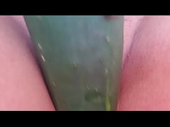  - ESTAVA COM CALOR , ABRI  BEM AS PERNAS SEM CALCINHA COM MINHA BUCETA DEPILADA , PEGUEI O PEPINO QUE ESTAVA BEM MOLHADINHO E COLOQUEI NA BUCETA GRANDE QUE EU TENHO ,  E ROSEI BASTANTE . UMA DELICIA .