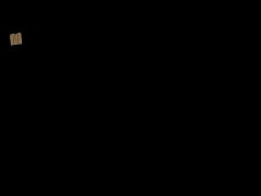  - WVM 209, Natalie Has Amazing Boobs.