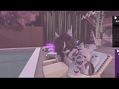  - Taking a Shark for first time