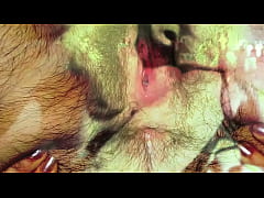  - Vintage Taboo, Pussy & Pooch