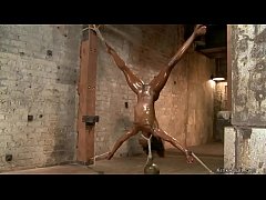  - Ebony toyed in upside down position