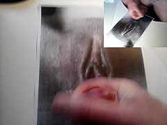  - Tribute to Silverdream2015