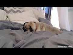  - Briana Lee Member Show June 18th 2015