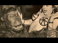  - Dark Lantern Entertainment Presents 'Vintage Petmania'