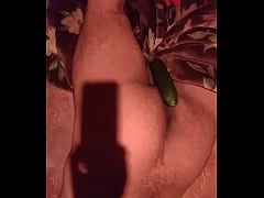  - خياره في خول