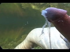  - My Cock Cumming Underwater