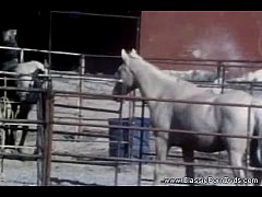  - An Outdoor Sex With A Live Viewer