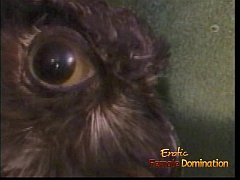  - Two horny sluts let a sexy domina do naughty things to them