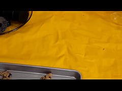  - Ass fucked anal crazy sub slut takes it deep