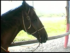  - Fucking while riding a