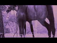  - Dark Lantern Entertainment presents 'Beauty And The Beast'