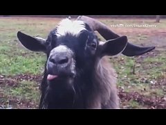  - Skrillex & Damian Marley - Make It Bun Dem (a. Cover) [only a. sounds]