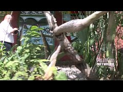  - Busted Flashing On Campus