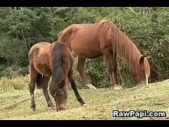  - Two Horny Gay Barebacked Sex Hardciore