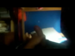  - Phano564