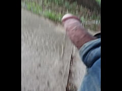  - Outside stroll with my dick out
