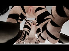  - Two zebras pleasure each other - Wildlife
