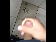  - Galo doido[1]