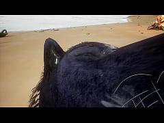  - Pov two gay wolves fucking - Wildlife