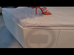  - COM O RABO ENORME , USO ESTA DELICIOSA MEIA TRANSPARENTE ! ESCAPOU TUDINHO...