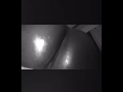  - Stallion booty