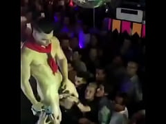  - Rei da Espiga 2017