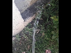  - Meo mañanero
