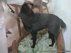  - Dutch MILF From The Netherlands