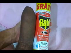  - MEU JACARÉ GALERIA.