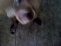  - Amigo Masturbandose