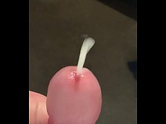  - Pocket pussy 1st use
