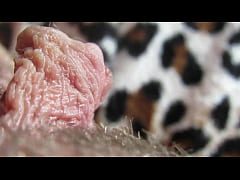  - Extreme Closeup On My Huge Pulsating Clit Head