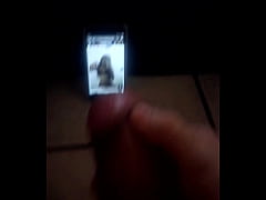  - Tributo a xbprincess