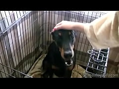  - Hot Babe Strips Naked And Sucks A Big Hard Cock