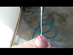  - se saca la leche en el patio de la casa