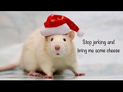  - Roger Virre’s Christmas special 2020