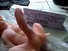  - Dotadinho