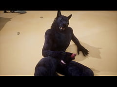  - POV tiger fucks wolf - wildlife