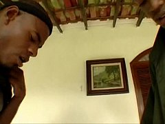  - EVASIVE ANGLES 3 Black Dicks and a Spanish Chick