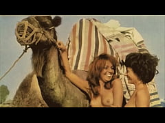  - Dark Lantern Entertainment Presents 'Vintage Petmania'