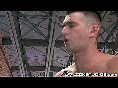  - FalconStudios c. On My Australian Wood