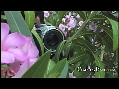  - Jake Steed Collection