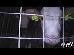  - Die Ulla wackelt&comma; das ist fein - pa&szlig;t doch das Schw&auml;nzchen prima rein